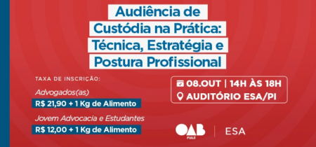 Audiência de Custódia na Prática: Técnica, Estratégia e Postura Profissional
