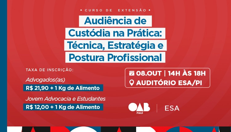 Audiência de Custódia na Prática: Técnica, Estratégia e Postura Profissional