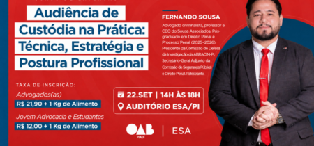 Audiência de Custódia na Prática: Técnica, Estratégia e Postura Profissional
