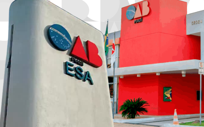 OAB Piauí e ESA divulgam resultado final do Programa Líderes Acadêmicos